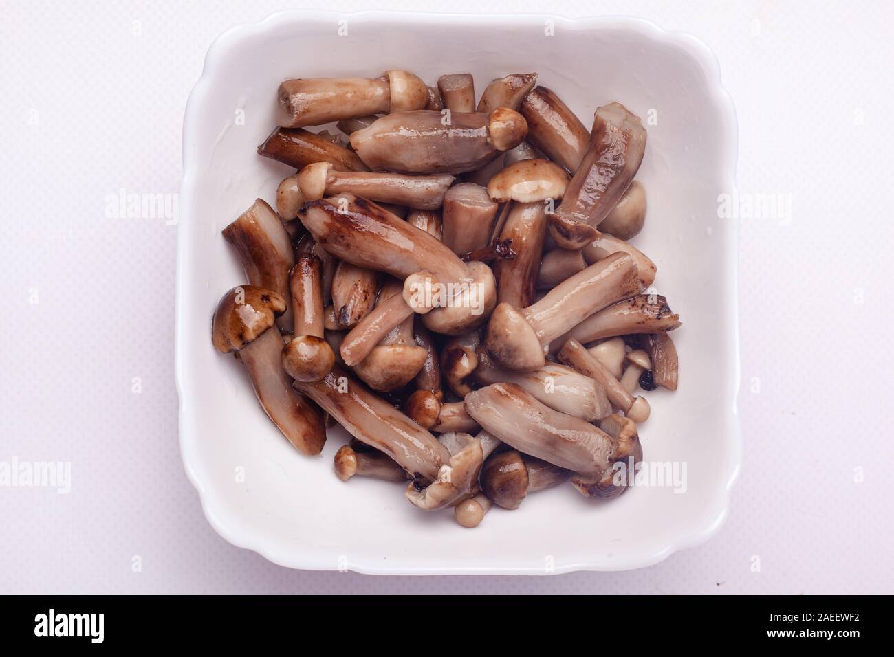 Le miel au vinaigre de miel champignons agarics. champignon dans une assiette blanche. Banque D'Images