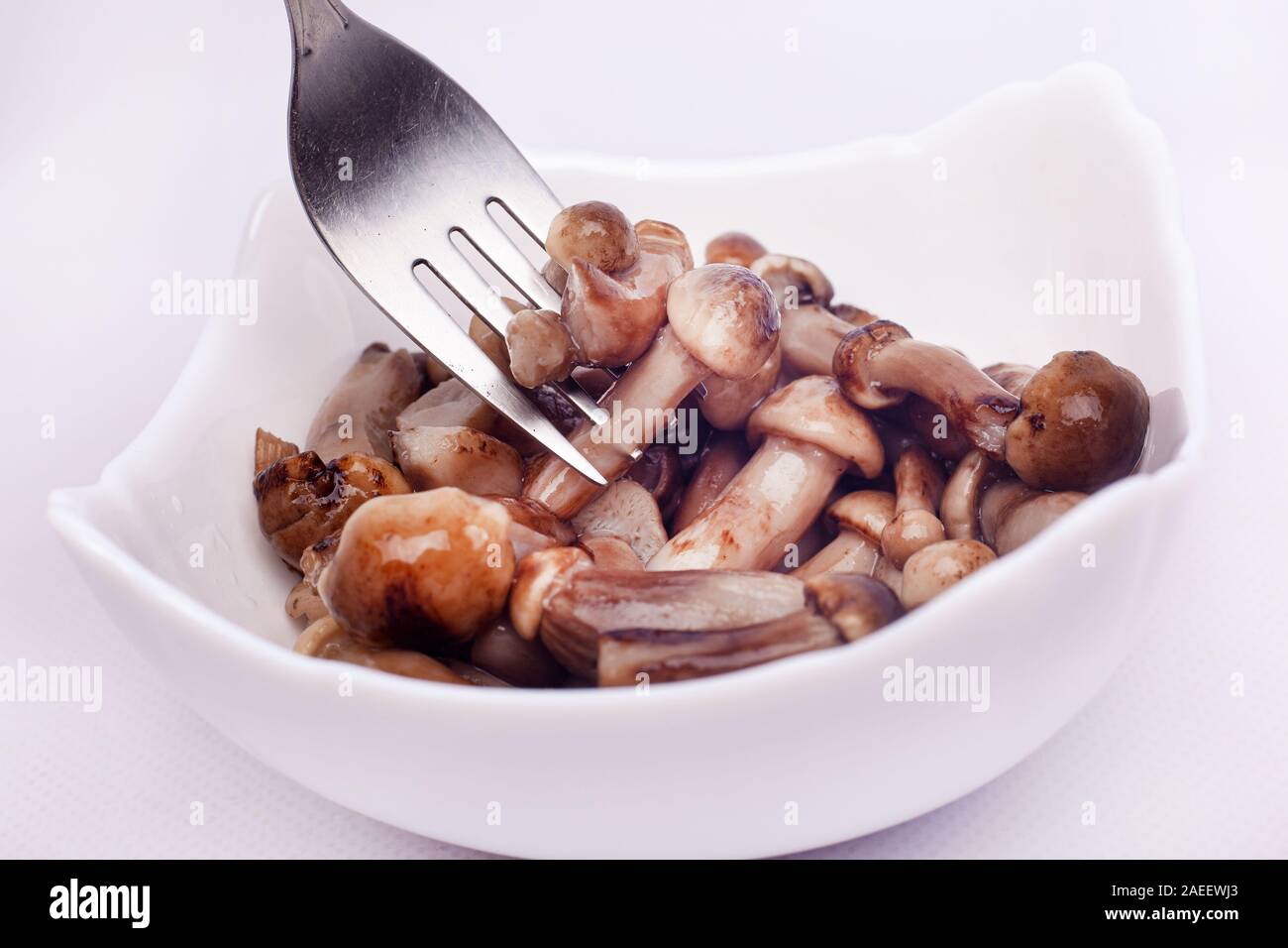 Petits champignons marinés empalée sur fourche, manger des champignons comestibles agarics le miel. Banque D'Images