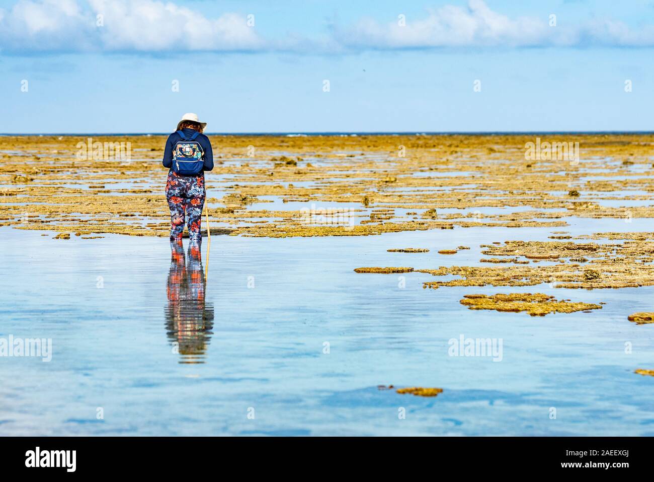 Lady Elliot Island Australie - le 27 novembre 2019 ;'pataugeant sur coral reef rock pools explorer Banque D'Images