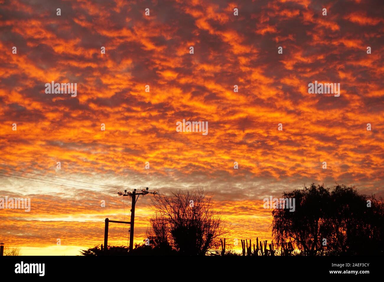 Altocumulus éclairées par le soleil couchant dans l'heure d'Or Photo Stock  - Alamy