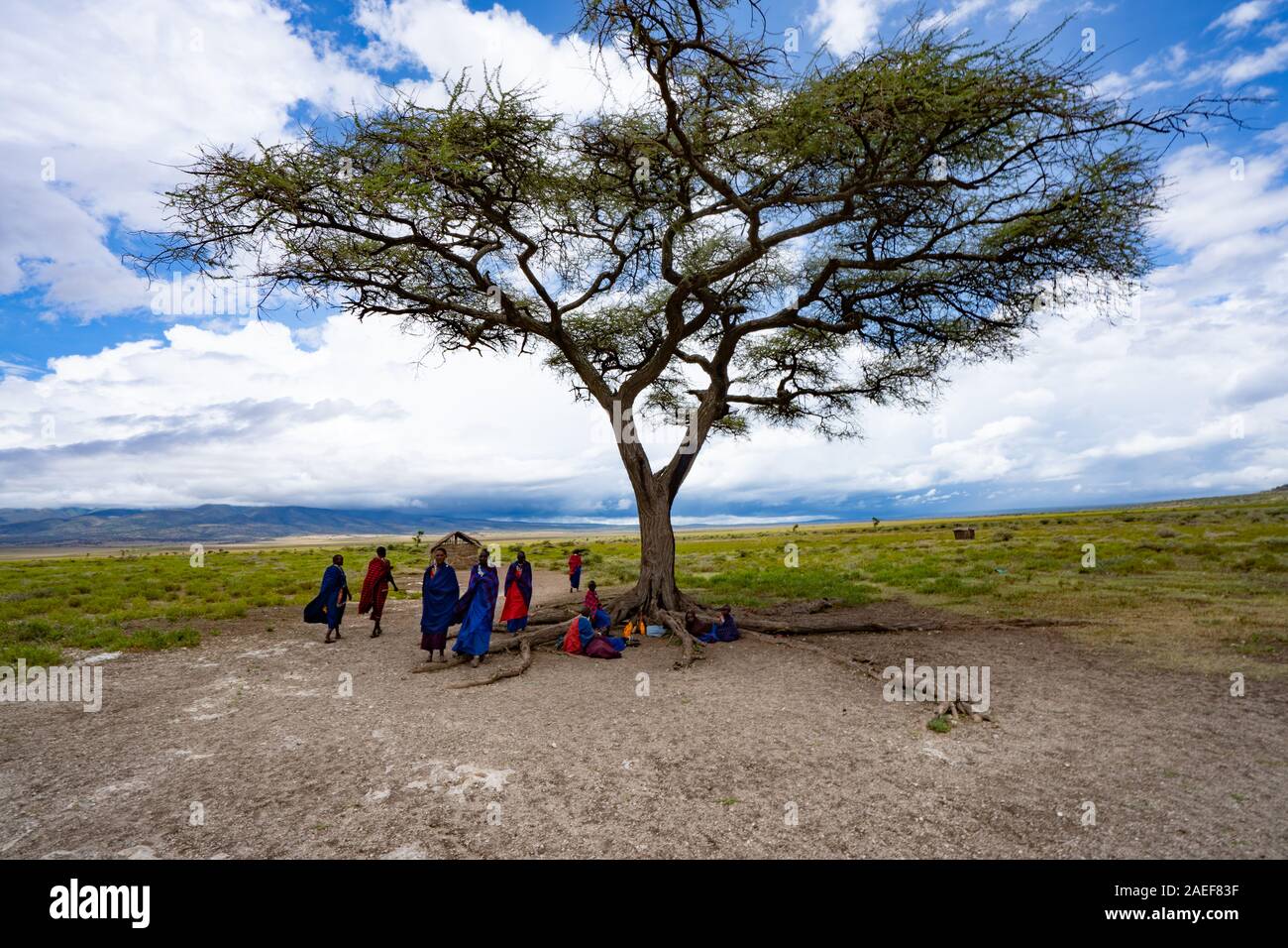Village Masai en Tanzanie Banque D'Images