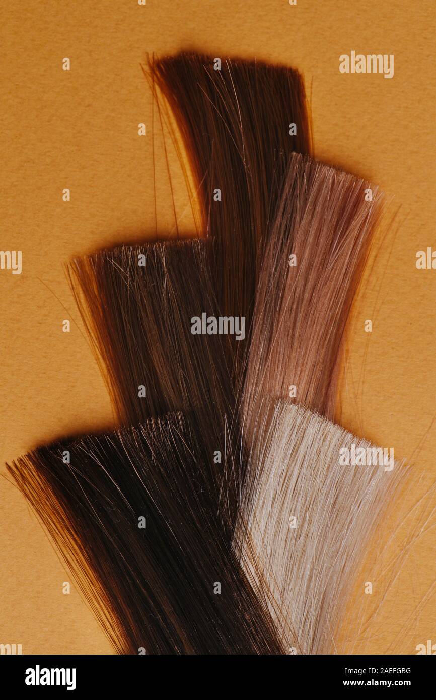 Motif tissé d'écluses de cheveux teints. Les échantillons dans le salon de coiffure sur l'orange Banque D'Images