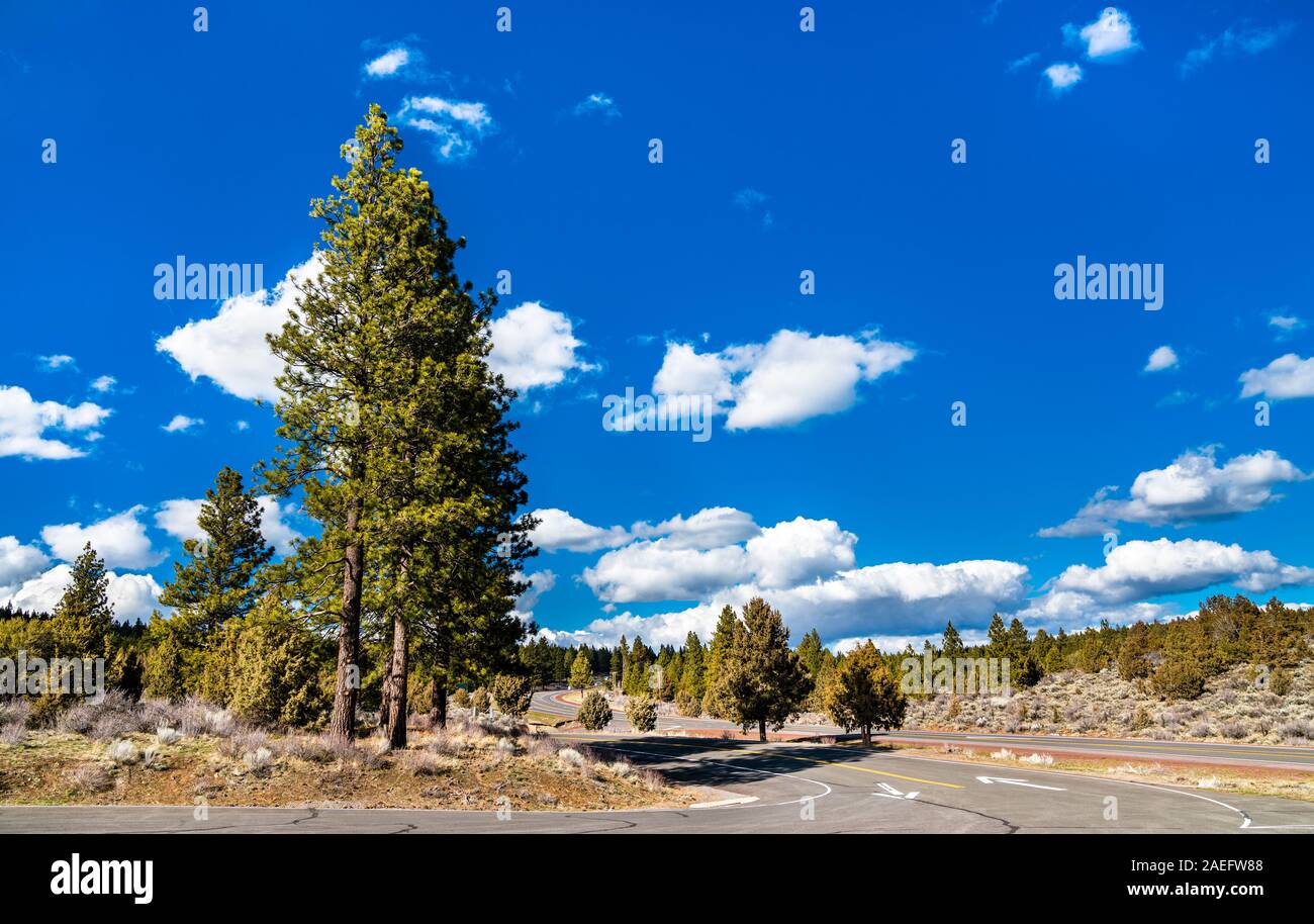 Héritage volcanique Scenic Byway près du Mont Shasta en Californie Banque D'Images