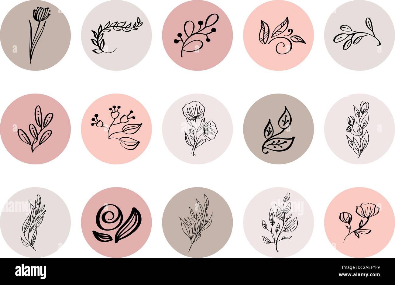 Mettez en surbrillance l'icône de la couverture. Mettez en surbrillance Histoire naturelle. Logo Floral dessiné à la main. Logo Modèle pour photographe, mode, studio de yoga. Style monolines Illustration de Vecteur