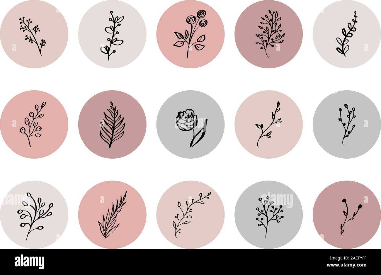 Mettez en surbrillance l'icône de la couverture. Mettez en surbrillance Histoire naturelle. Logo Floral dessiné à la main. Logo Modèle pour photographe, mode, studio de yoga. Style de ligne d'Herb Illustration de Vecteur