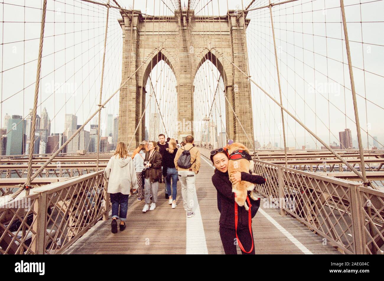 Pont de Brooklyn, New York City, États-Unis d'Amérique. Banque D'Images