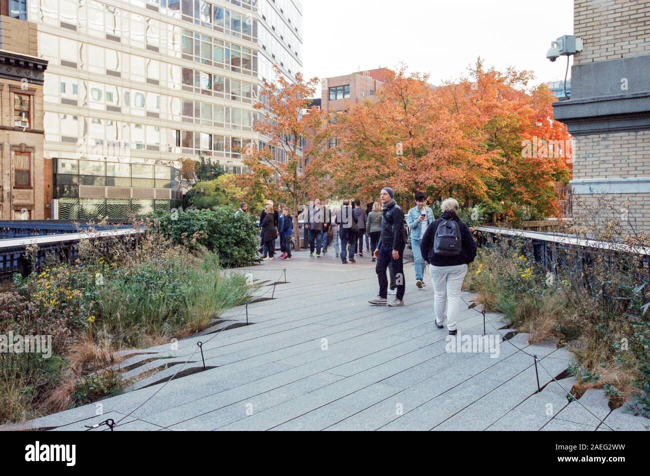 Le parc High Line, Chelsea, New York, NY, États-Unis d'Amérique. Banque D'Images