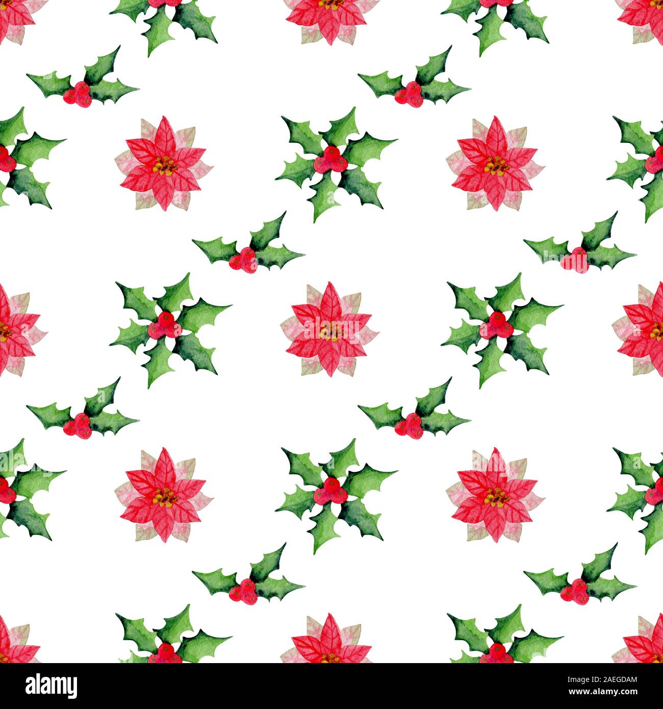 Noël aquarelle transparente avec motif floral holly et poinsettia fleurs sur un fond blanc. Banque D'Images