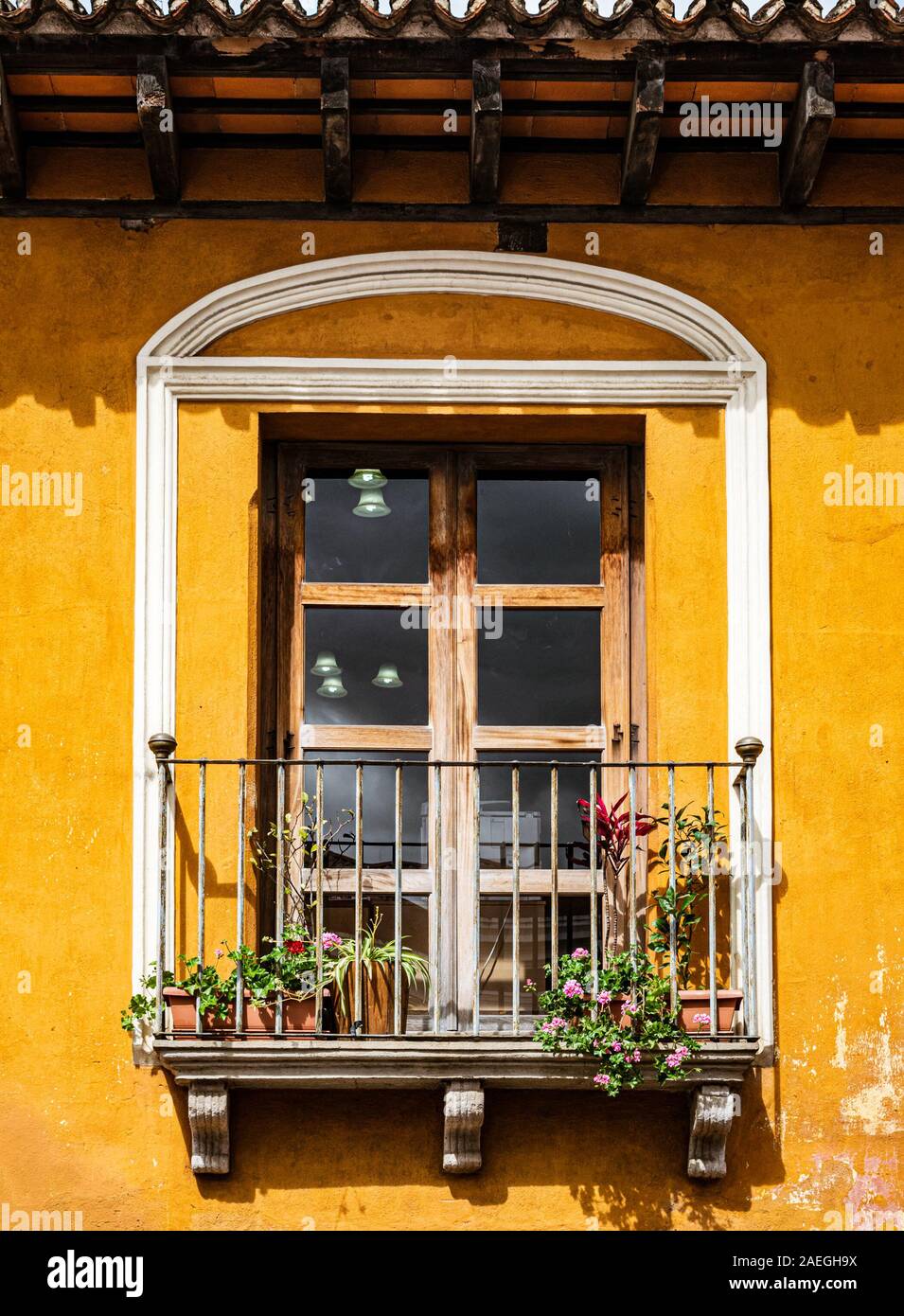 Fenêtre d'une maison coloniale jaune vif à Flores, Guatemala. Banque D'Images
