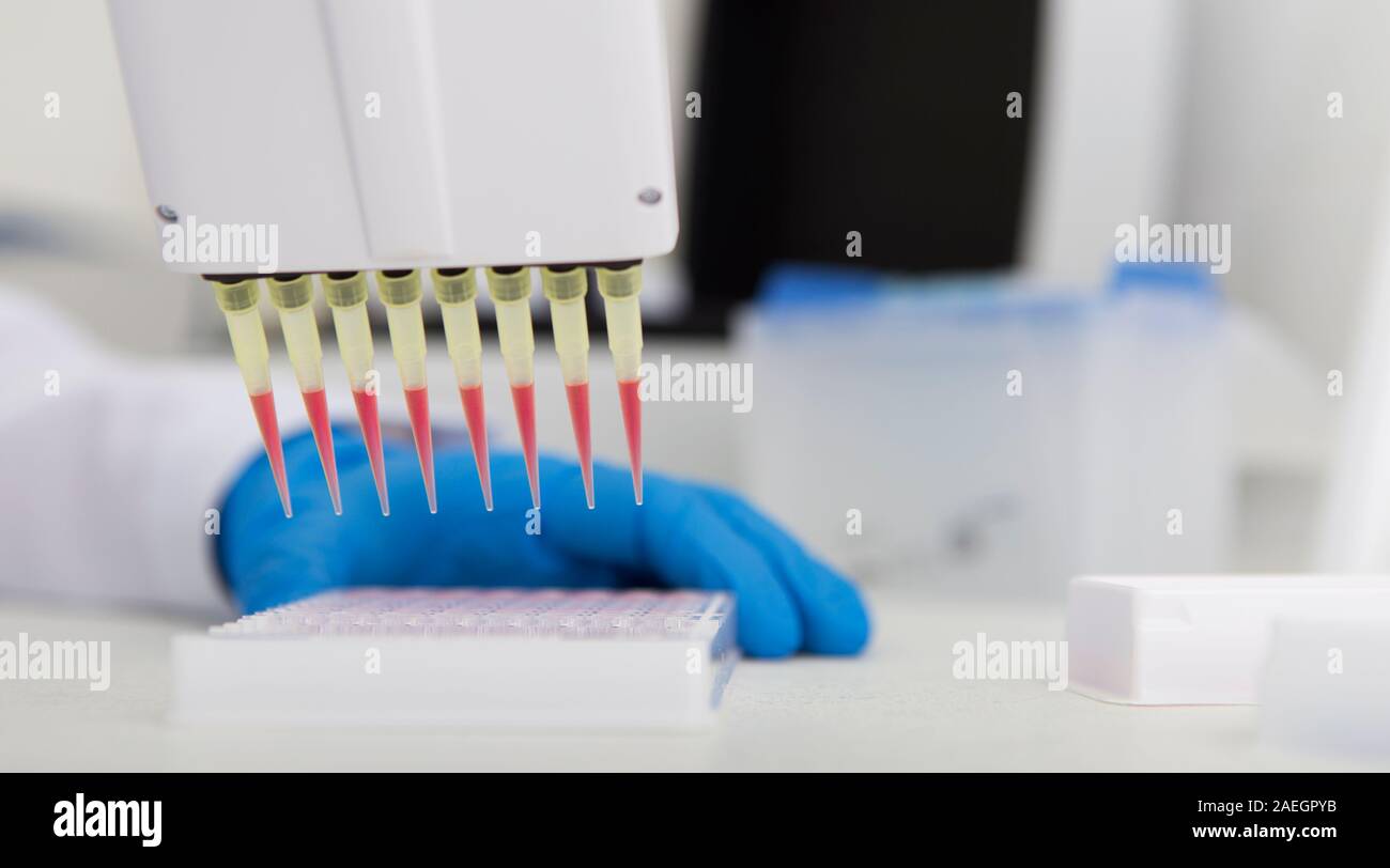 Son assistant l'abandon des échantillons de rouge dans une pipette de laboratoire moderne grand Banque D'Images