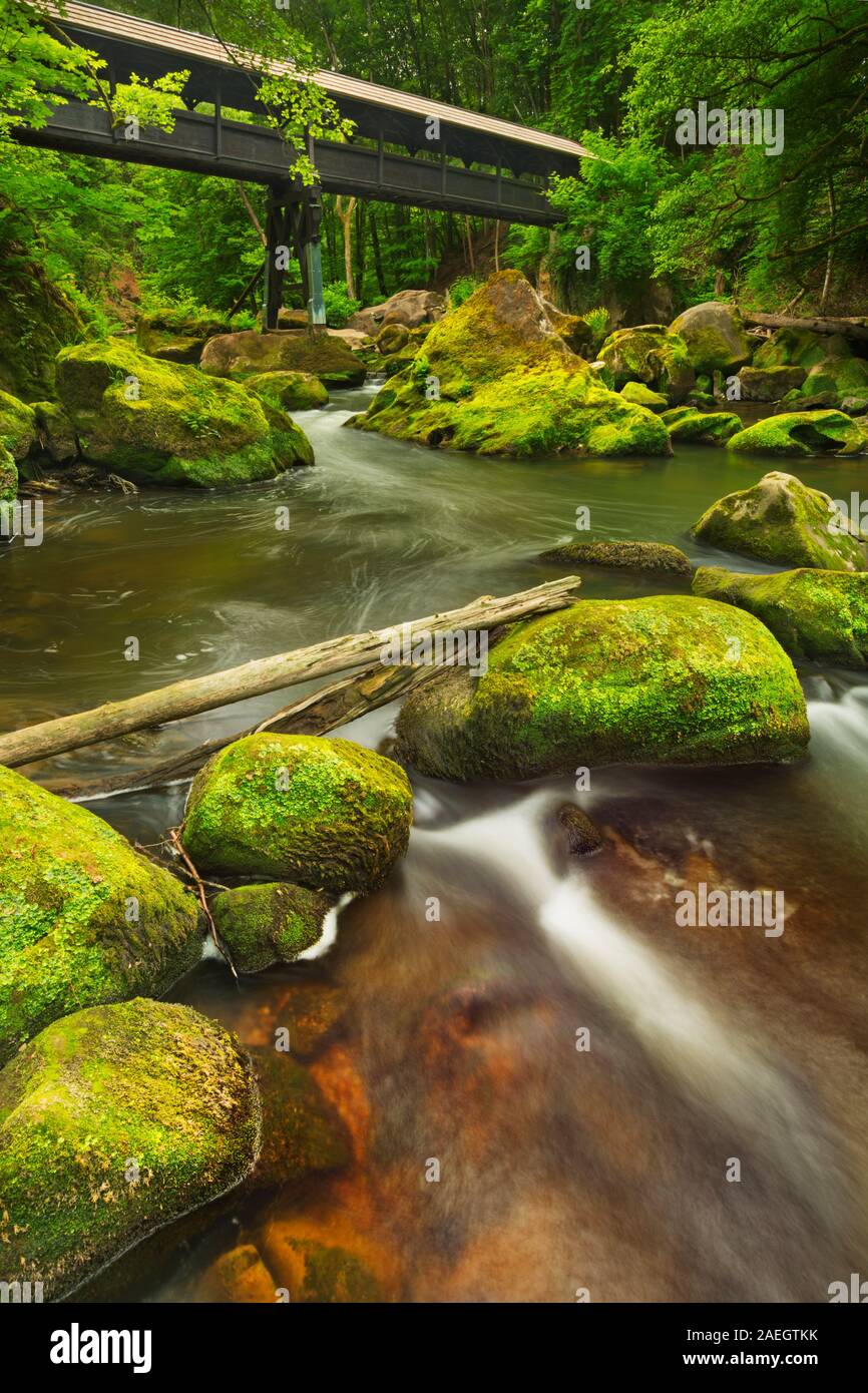 En bois recouverte d'un pont sur une rivière dans une forêt luxuriante près de Echternacherbrück, Allemagne. Banque D'Images