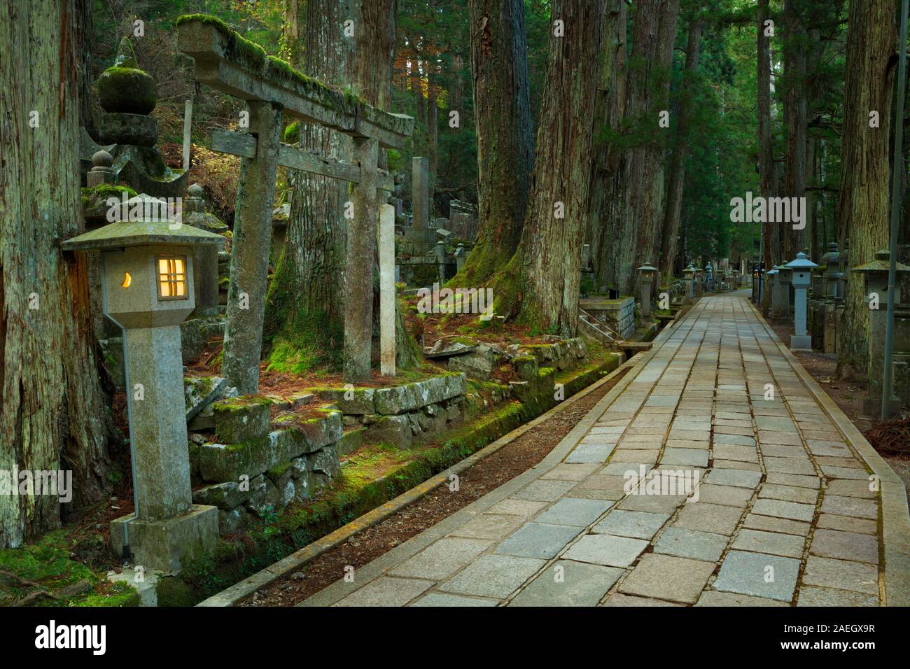 Un chemin à travers l'ancien cimetière Okunoin bouddhiste de Koyasan (高野山), au Japon. Banque D'Images