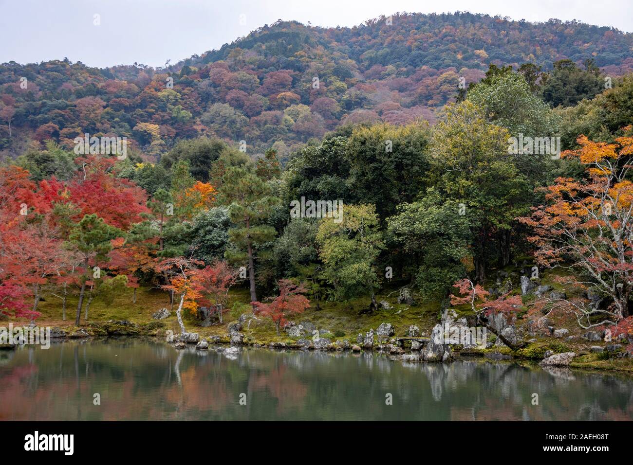 Le lac et le jardin avec des couleurs de l'automne, à l'origine créé par Musō Soseki, du Tenryū-ji temple bouddhiste Zen, Kyoto, Japon Banque D'Images