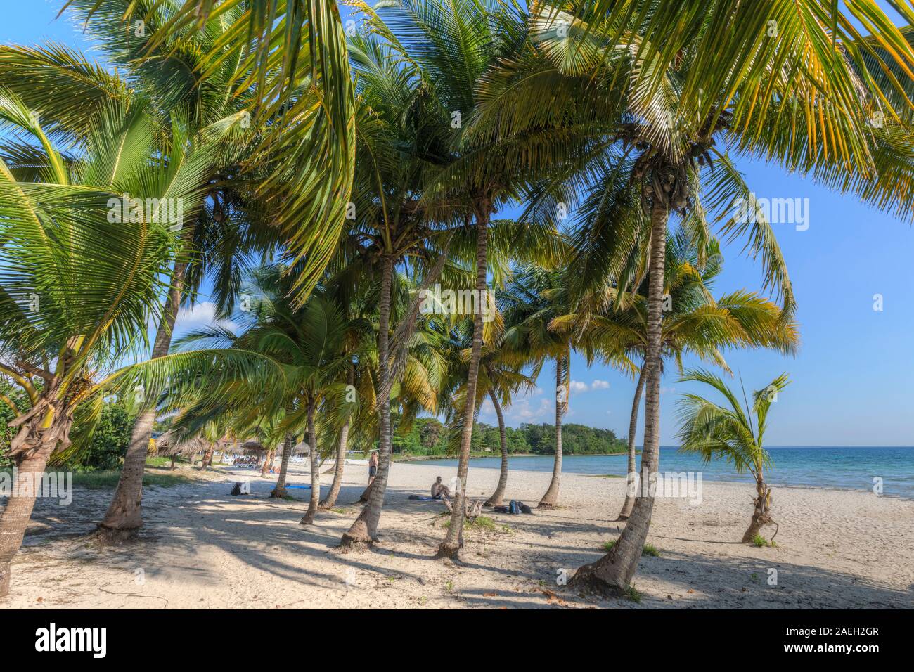 Playa Larga, Matanzas, Cuba, Amérique du Nord Banque D'Images