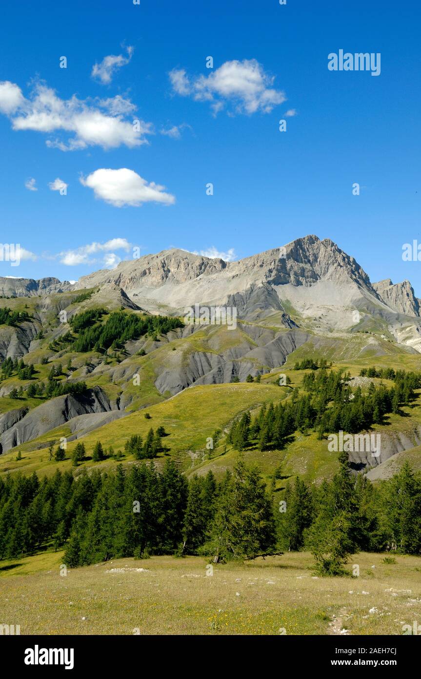 Col des champs (2087m) col de montagne & Pic de tête de l'Encombrette Peak (2682m) au-dessus du Parc National du Mercantour Comars-les-alpes provence france Banque D'Images