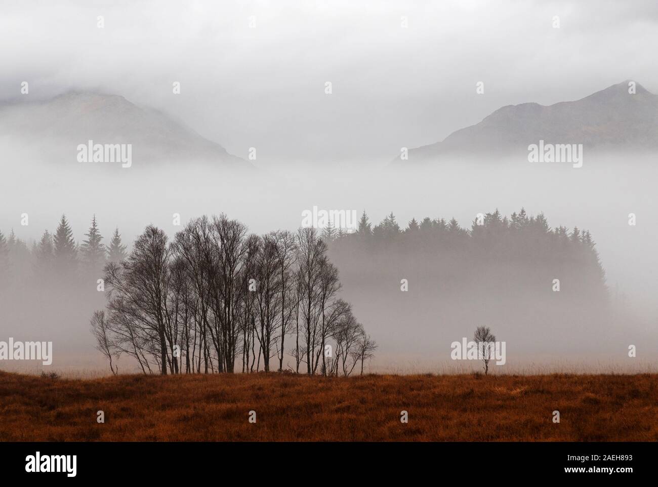Photo Par © Jamie Callister. Les Vallées de Misty entourent fort William, Écosse du Nord-Ouest, Royaume-Uni, 24 novembre 2019. Banque D'Images