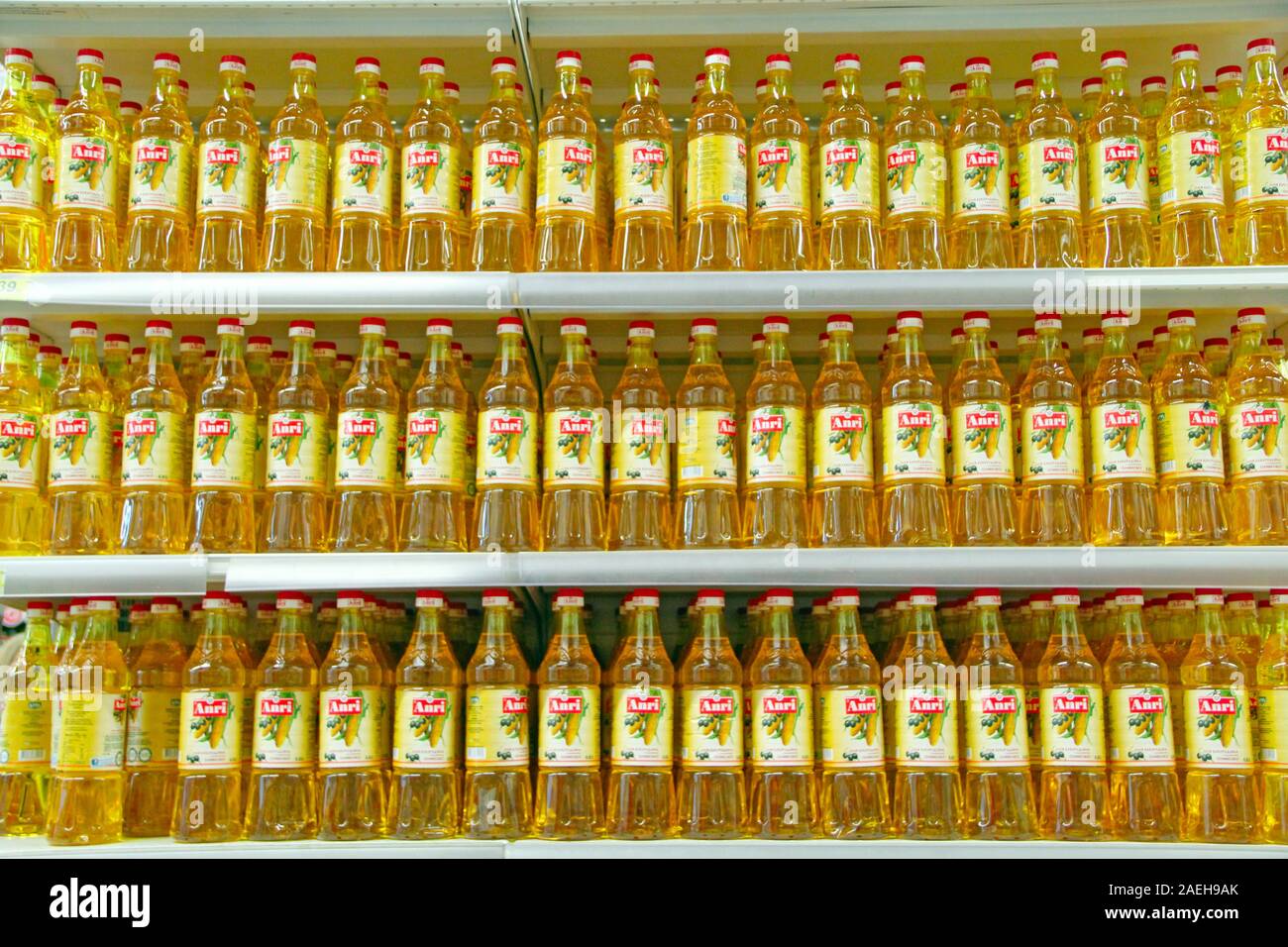 Huile de graines de tournesol dans les bouteilles sur des étagères de magasin. De nombreuses bouteilles d'huile végétale vente sur étagère de supermarché. Rangée de bouteilles d'huile de cuisson sur étagère dans supe Banque D'Images