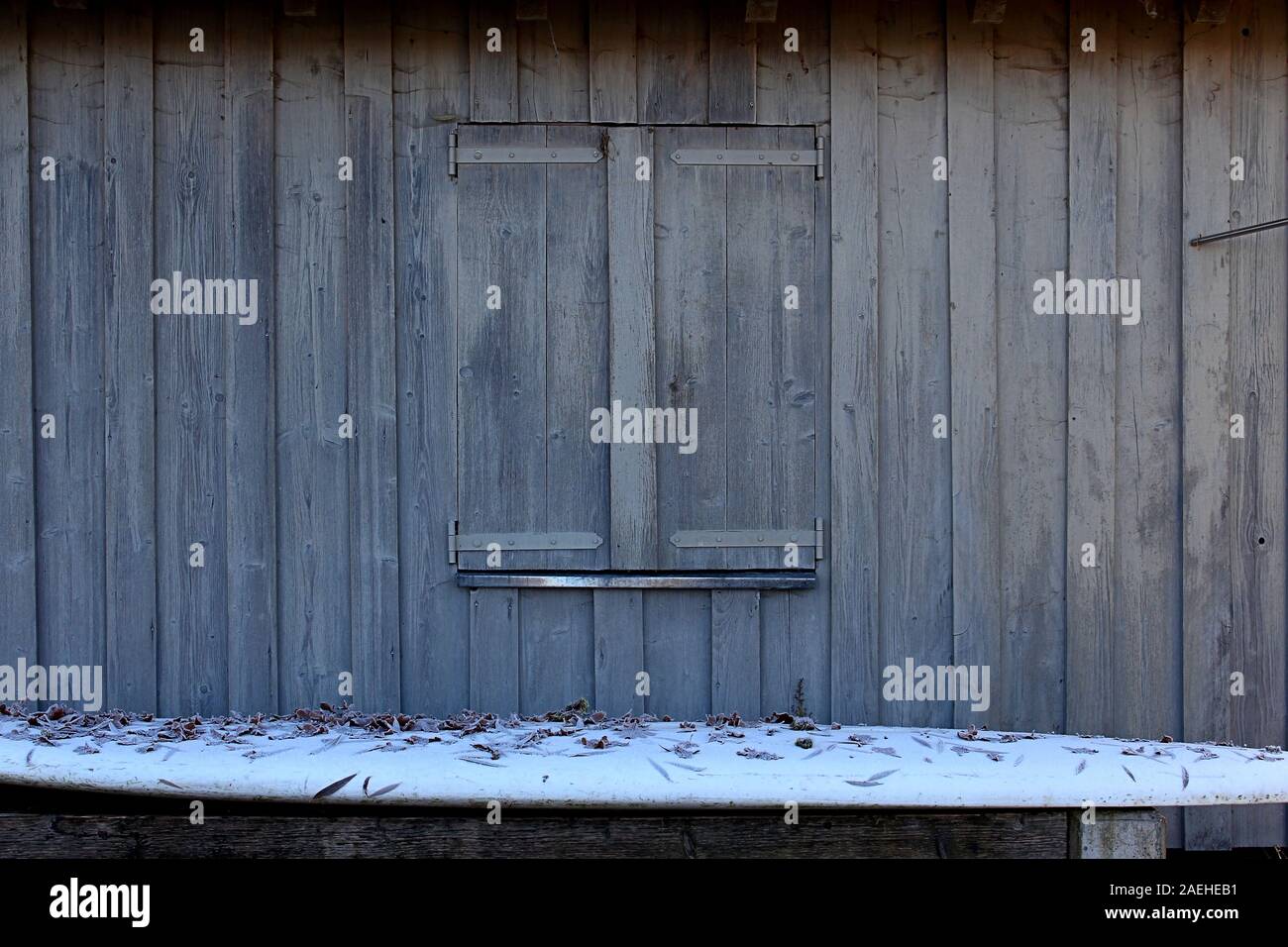 Surf blanc couvert de feuilles et de la gelée blanche en face de la vieille cabane en bois avec des volets en bois Banque D'Images