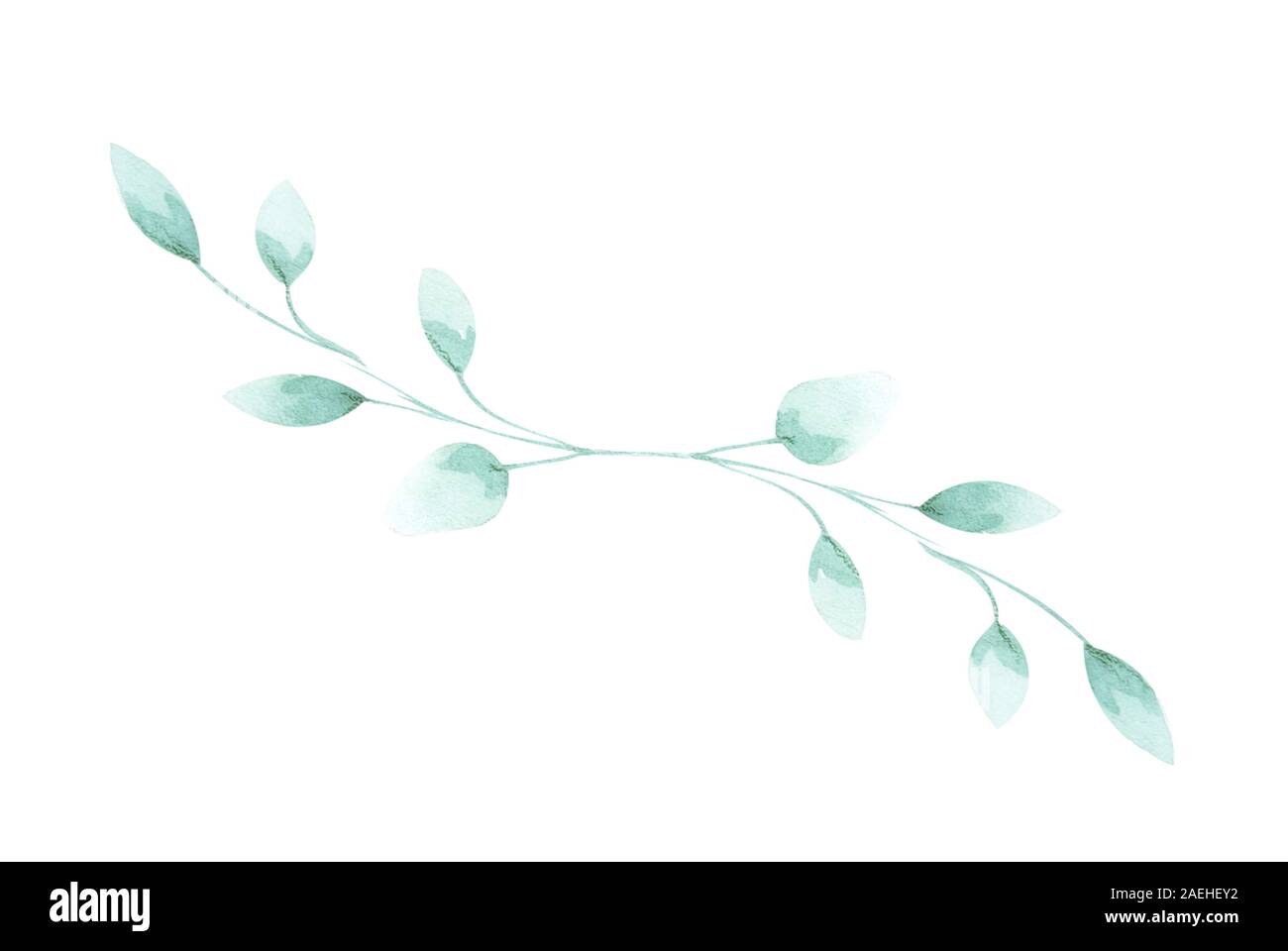 Illustration d'une brindille d'aquarelle d'une plante avec des feuilles comme un ornement pour la décoration sur un fond isolé blanc Banque D'Images