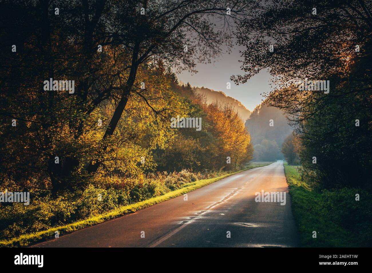 Road dans la belle nature de l'automne. Soirée calme paysage. Banque D'Images