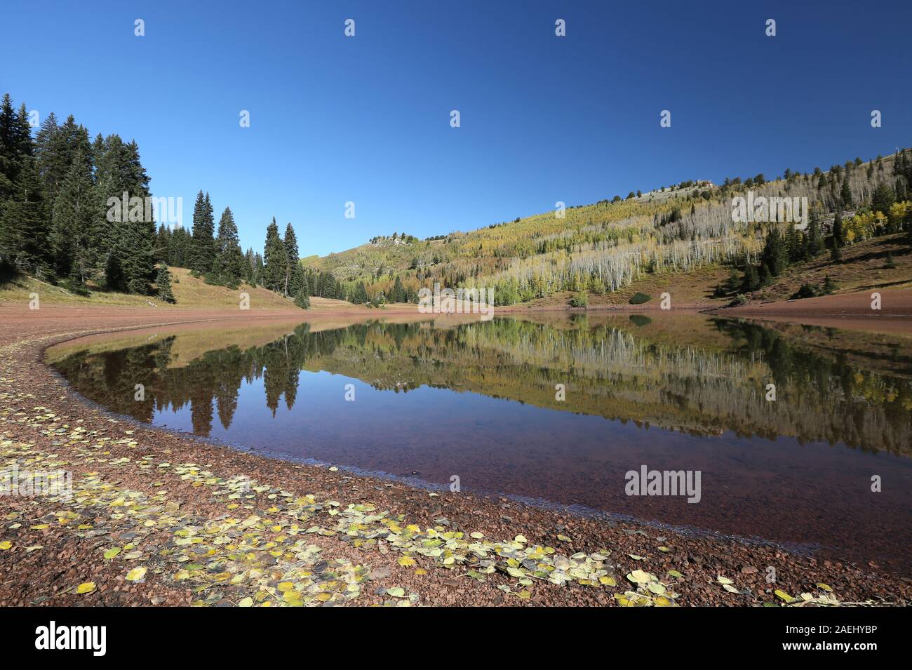 La désolation à l'automne, le lac Big Cottonwood Canyon, Utah Banque D'Images