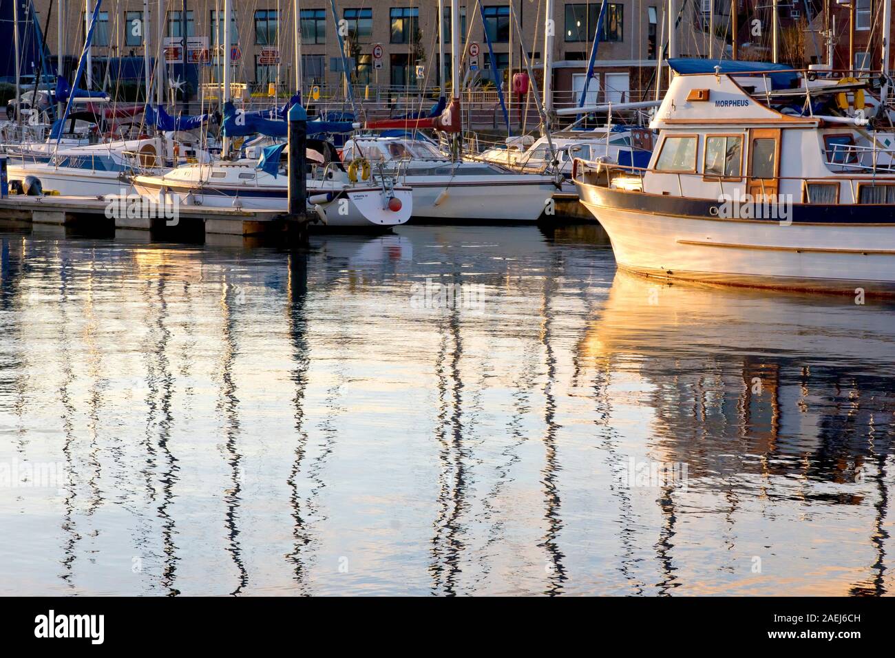 La marina du port d'Arbroath, rempli de yachts et bateaux de plaisance, éclairé par la chaude lumière directionnelle d'un soleil bas à la fin de la journée. Banque D'Images