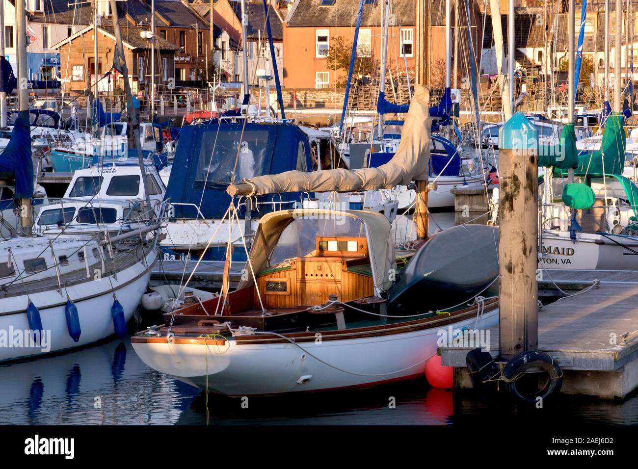 La marina du port d'Arbroath, rempli de yachts et bateaux de plaisance, éclairé par la chaude lumière directionnelle d'un soleil bas à la fin de la journée. Banque D'Images