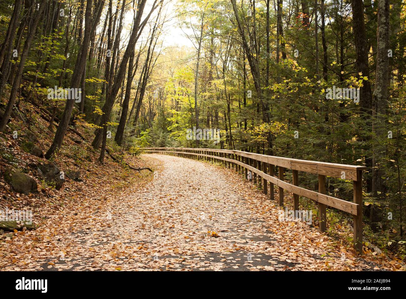 La piste cyclable pittoresque dans l'ouest du Massachusetts. Banque D'Images