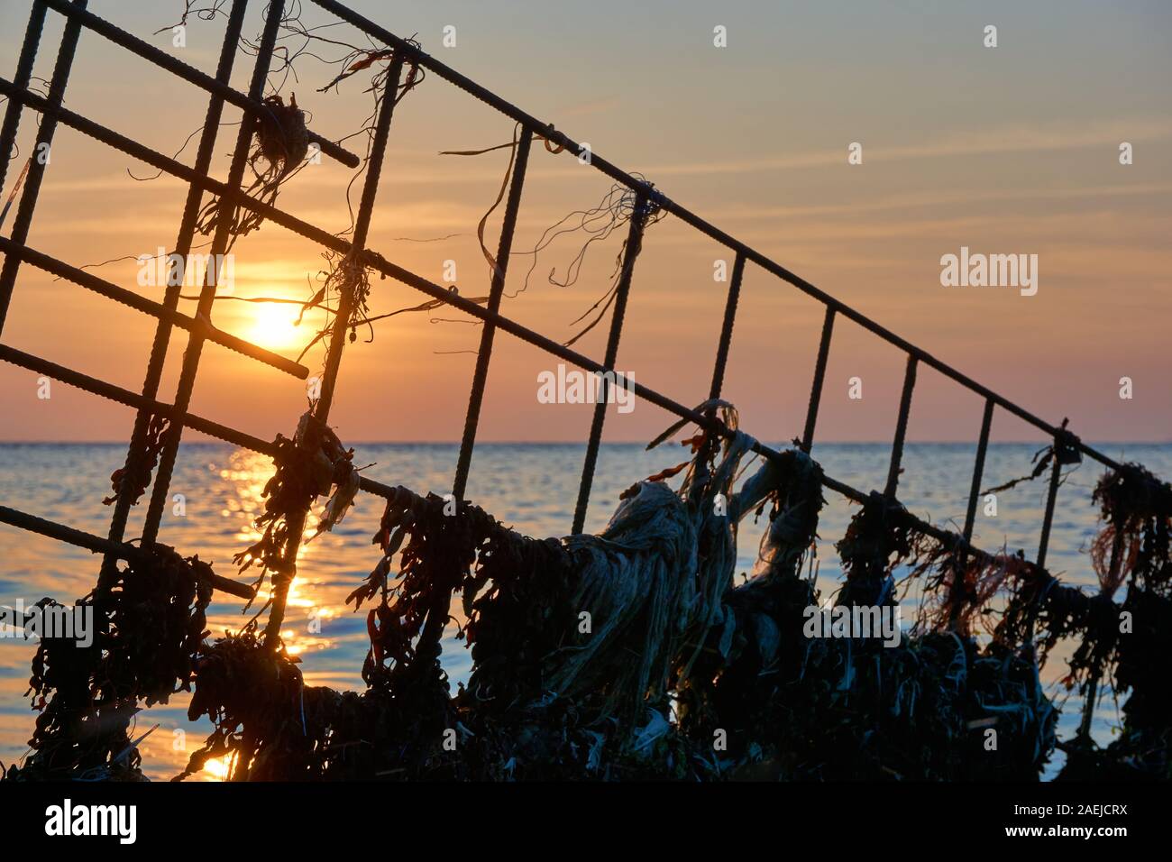 Silhouette d'une structure métallique avec des déchets plastiques et des algues en face de la mer et du coucher du soleil Banque D'Images