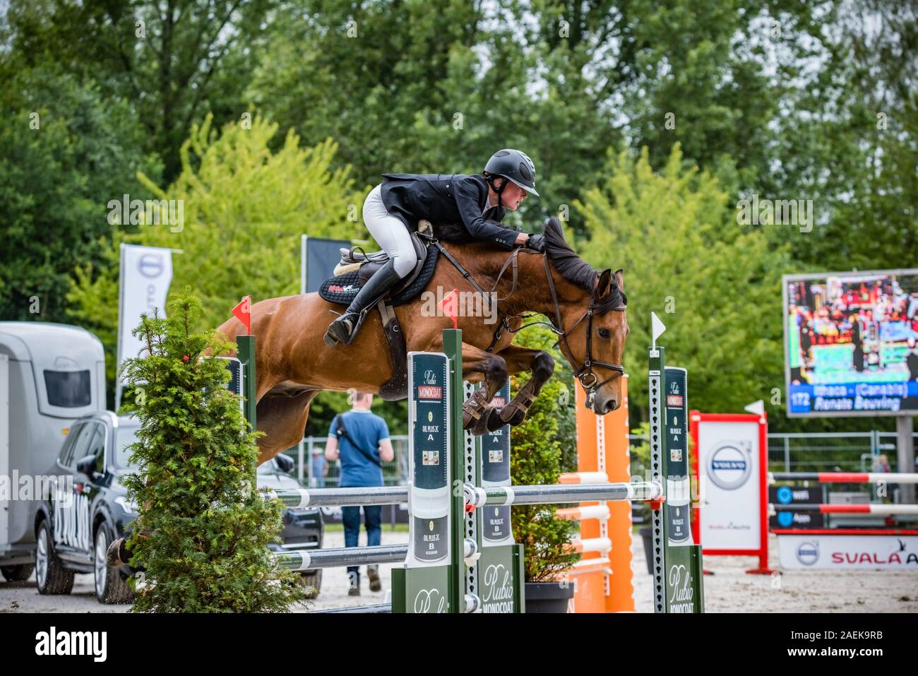 19 juin 2019 Holland Haarlemmermeer concours hippique Cheval sautant Banque D'Images