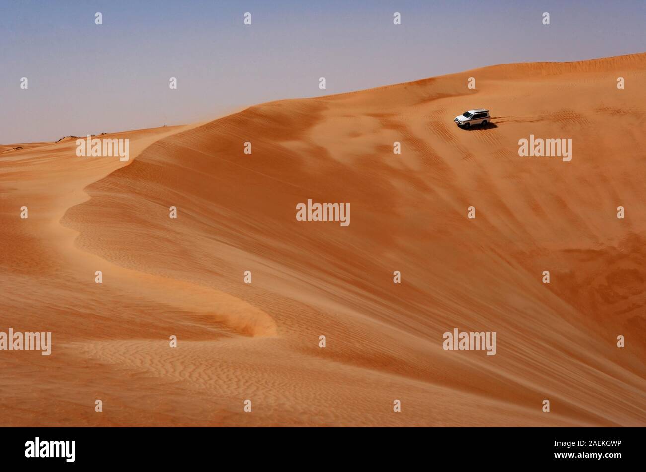 Véhicule hors route sur des disques durs, des dunes de sable du désert, safari dans le désert Wahiba Sands Rimal, Oman Banque D'Images