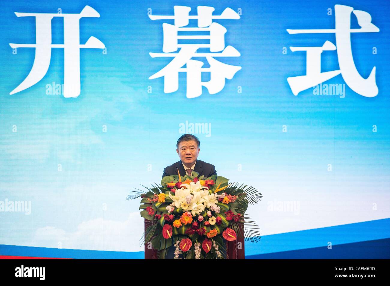 Un invité prend la parole à la 19e Conférence sur les Chinois d'outre-mer et l'élaboration d'avant-garde en Chine à Wuhan, province du Hubei en Chine centrale, 21 novembe Banque D'Images