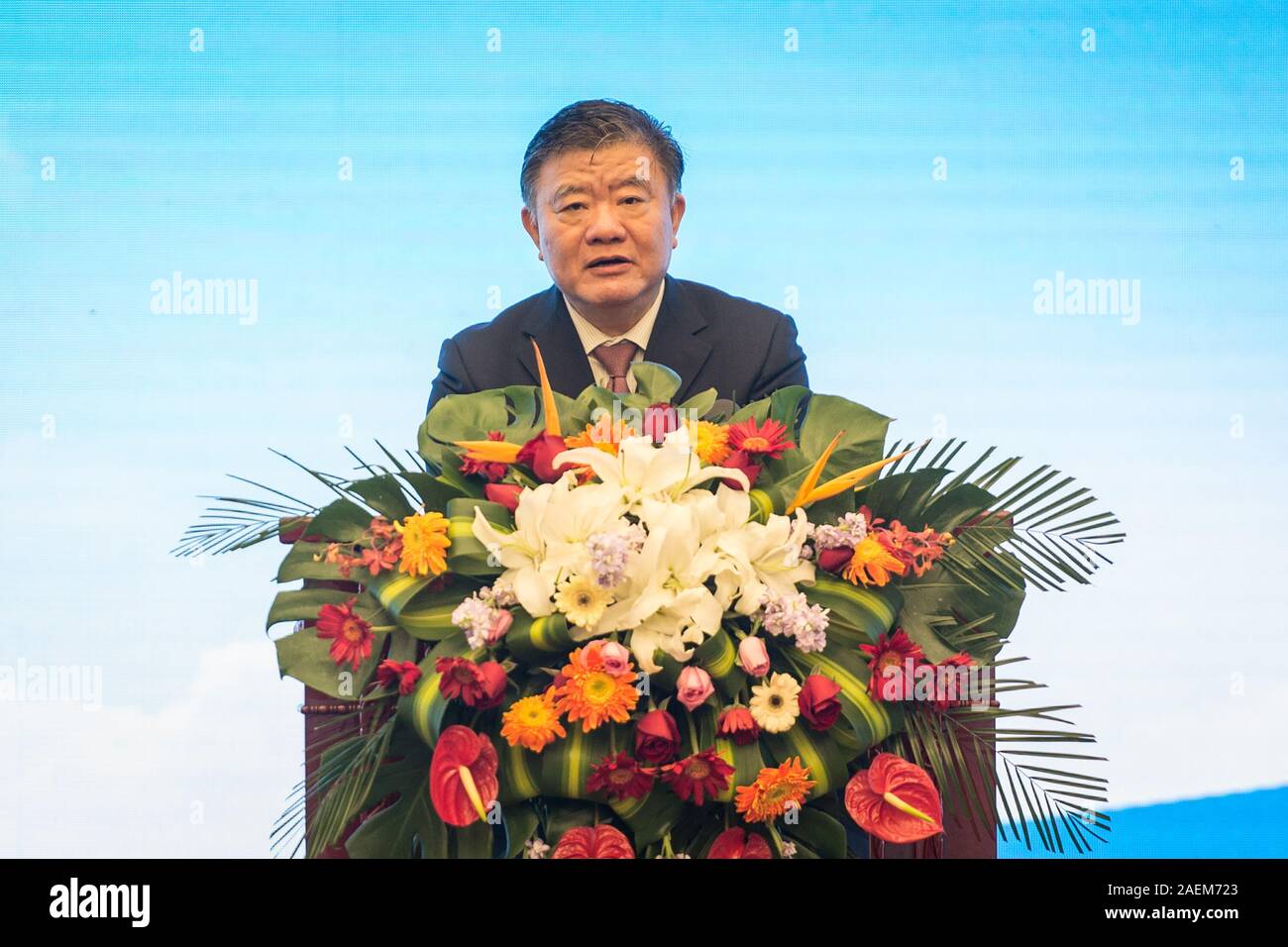 Un invité prend la parole à la 19e Conférence sur les Chinois d'outre-mer et l'élaboration d'avant-garde en Chine à Wuhan, province du Hubei en Chine centrale, 21 novembe Banque D'Images
