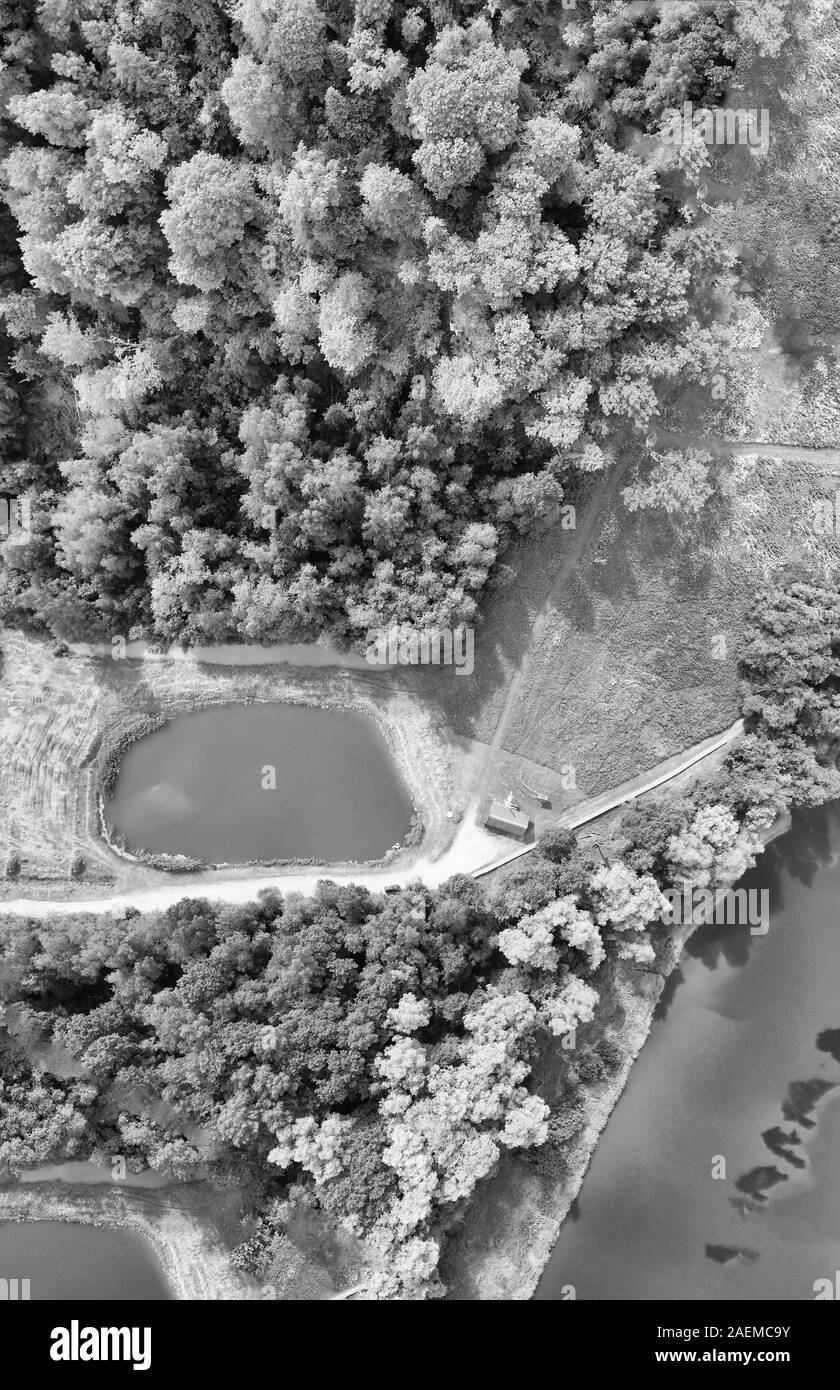 Rivière, lacs et forêts, vue aérienne. Banque D'Images