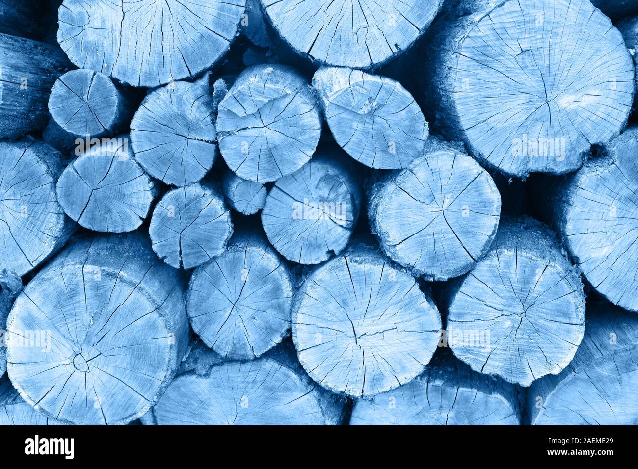 Arrière-plan de sécher du bois de chauffage coupé de sciage empilées sur fond bleu. Banque D'Images