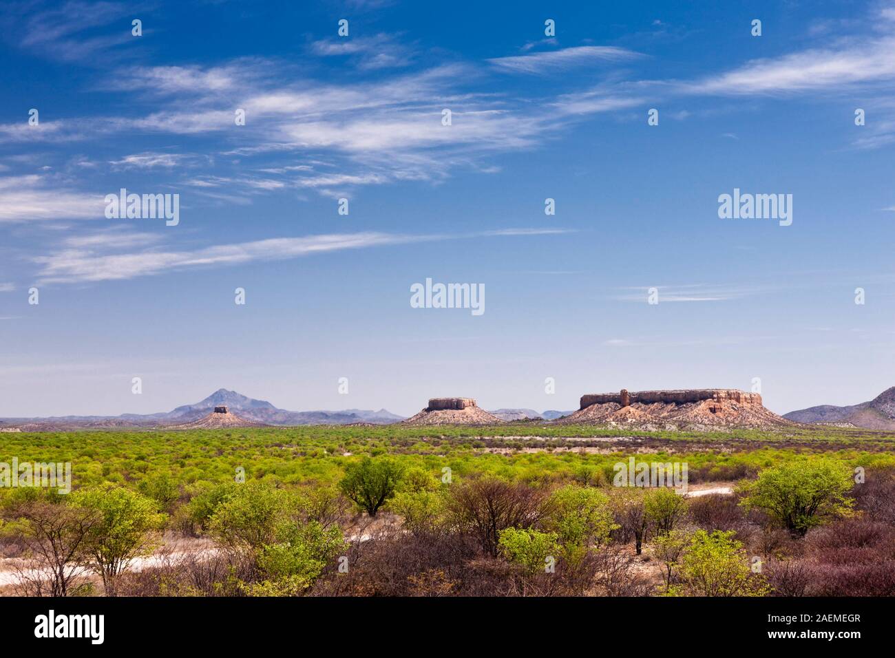 Ugab Terrace, montagnes de table, près de Khorixas, Damaraland(Erongo), Namibie, Afrique australe, Afrique Banque D'Images