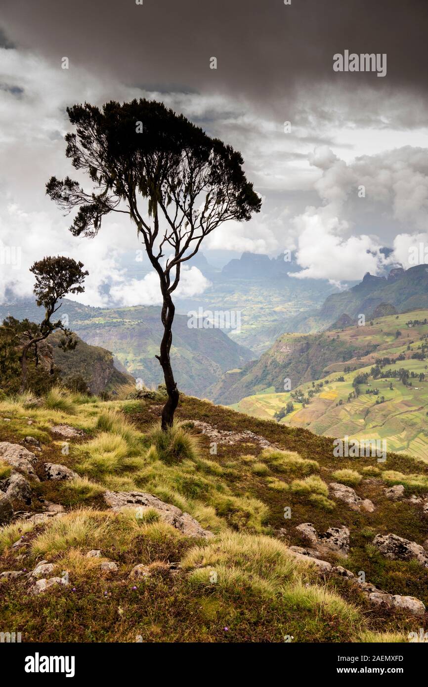 L'Éthiopie, région d'Amhara, Highlands, le parc national des montagnes du Simien, paysage spectaculaire près de Chennek Camp le trek Banque D'Images