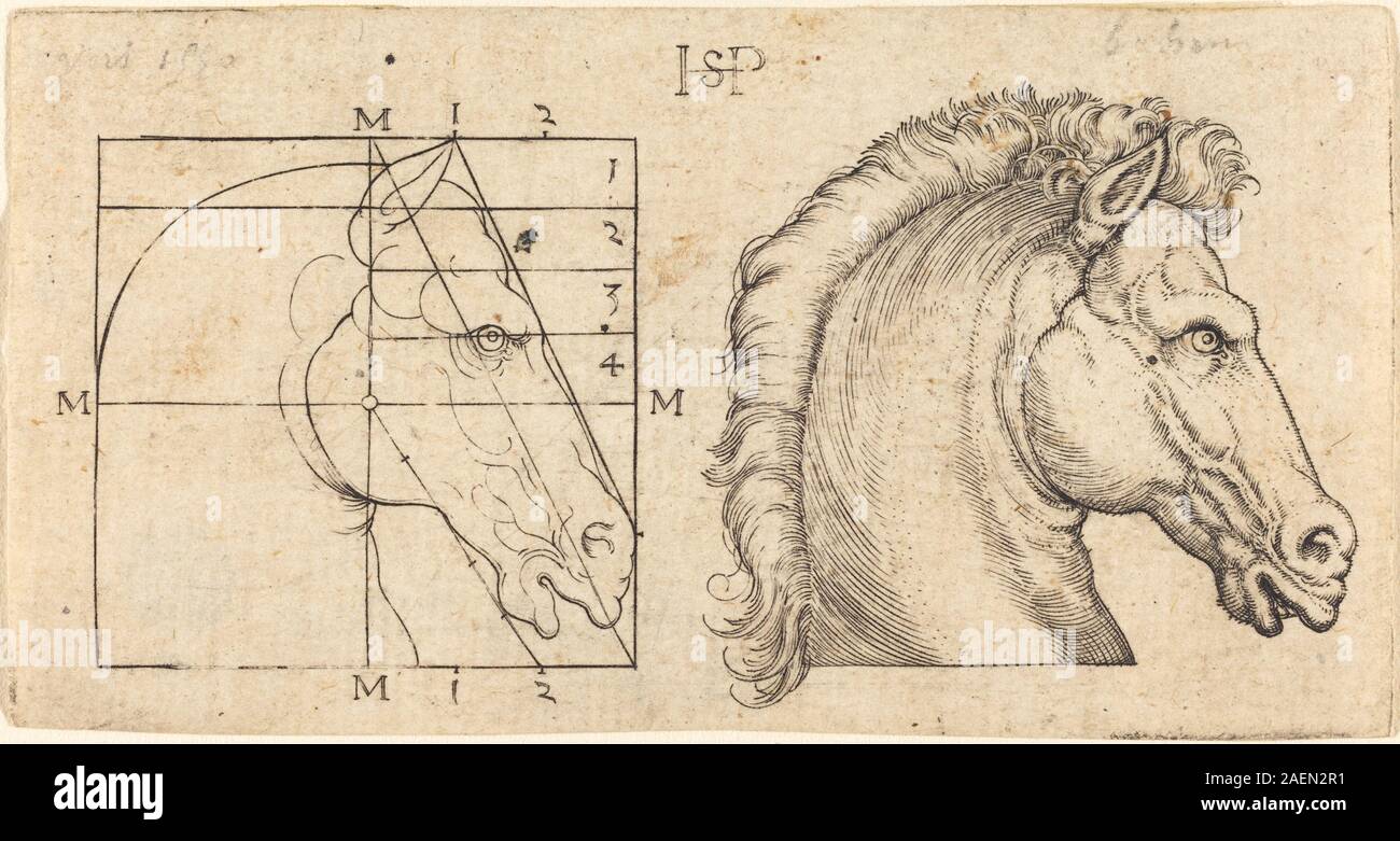 Cette œuvre de Sebald Beham montre deux têtes de cheval, se concentrant sur les détails anatomiques et une représentation réaliste des caractéristiques équines telles que les oreilles, les yeux et la crinière, dans une gravure du XVIe siècle. Banque D'Images