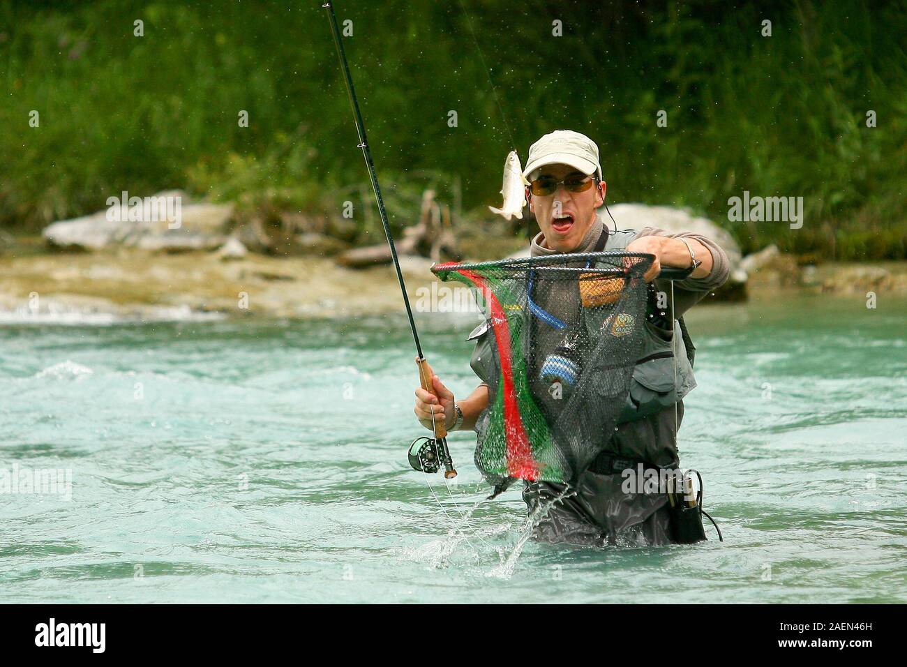 Jesenice, Slovénie, le 10 juin 2006 : un pêcheur de mouche prend un poisson au cours d'une compétition sur la rivière Sava Dolinka, l'un des plusieurs concours en 2006 dans le championnat européen de pêche à la mouche en Slovénie en 2006. Banque D'Images