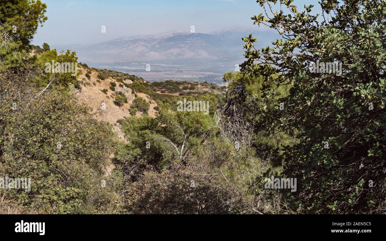 Un ciel voilé sur le mont Hermon dans les hauteurs du Golan de la réserve naturelle de Kédesch reboisées en haut galilii avec des collines et des arbres dans le foregrou Banque D'Images