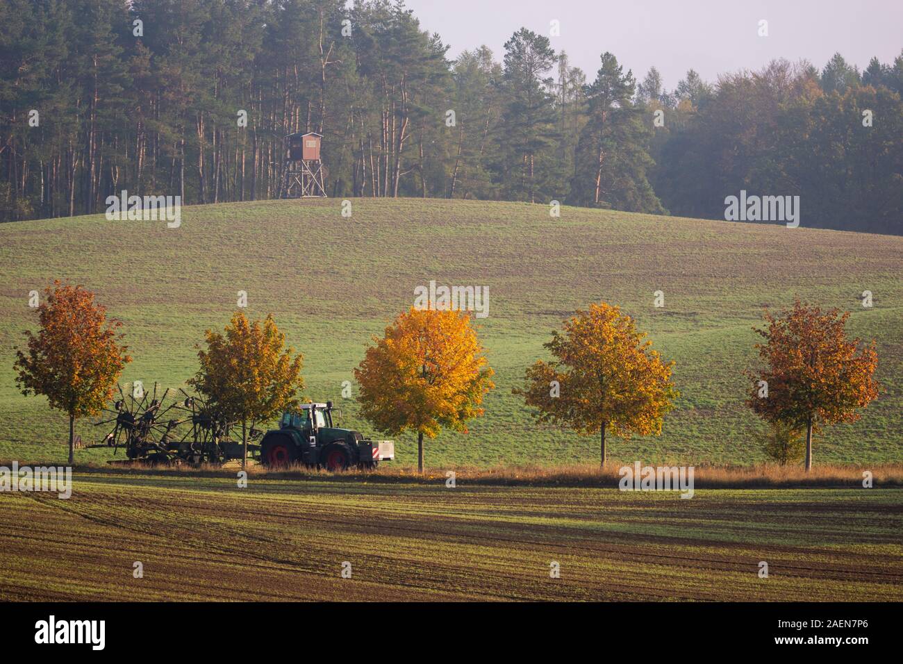 Conduite du tracteur agricole chien asphalte autour de champs d'automne Banque D'Images