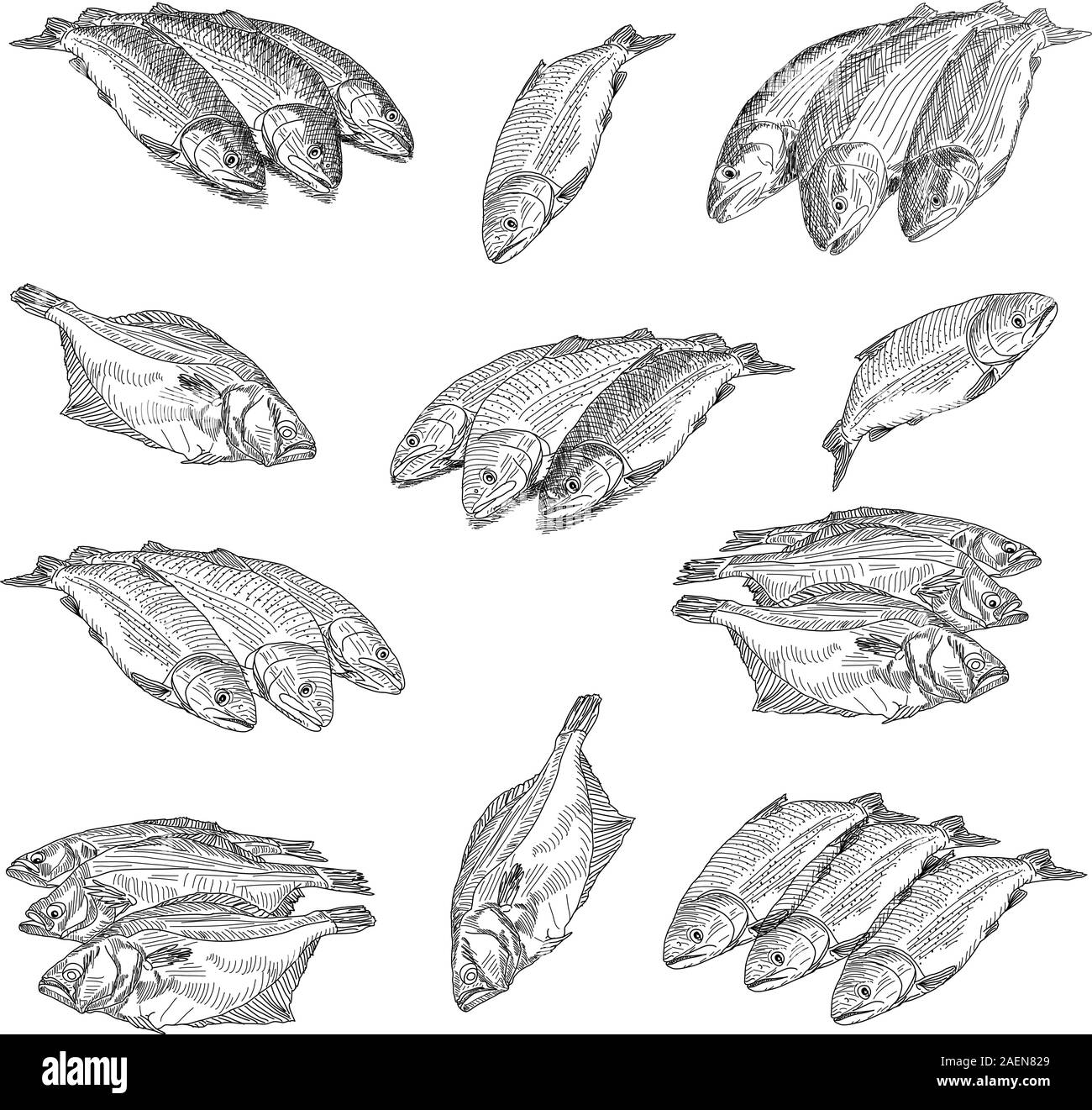 Mettre des fruits de mer se situent à proximité de poissons sur un fond blanc Illustration de Vecteur