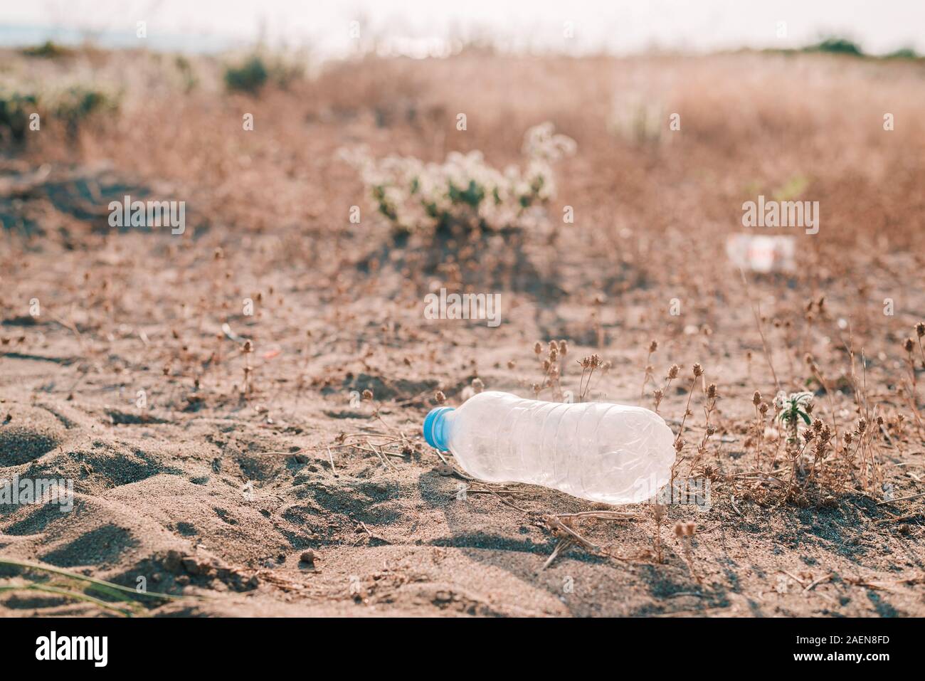Les bouteilles en plastique des déchets sur une plage. Concept de la pollution de la terre. Banque D'Images