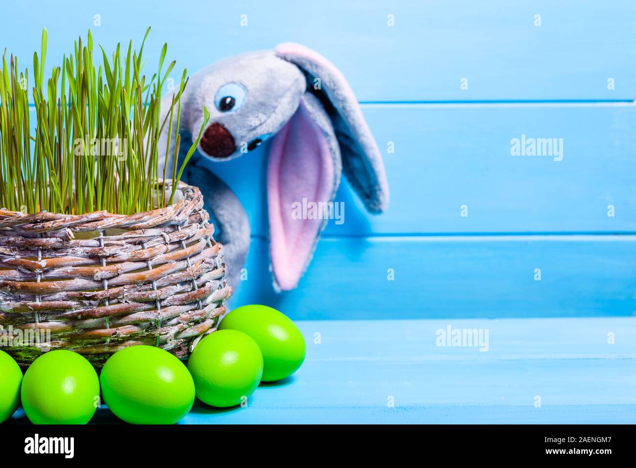 Carte de Pâques avec des œufs verts et lapin de Pâques dans l'herbe, le blé vert frais dans le panier Banque D'Images