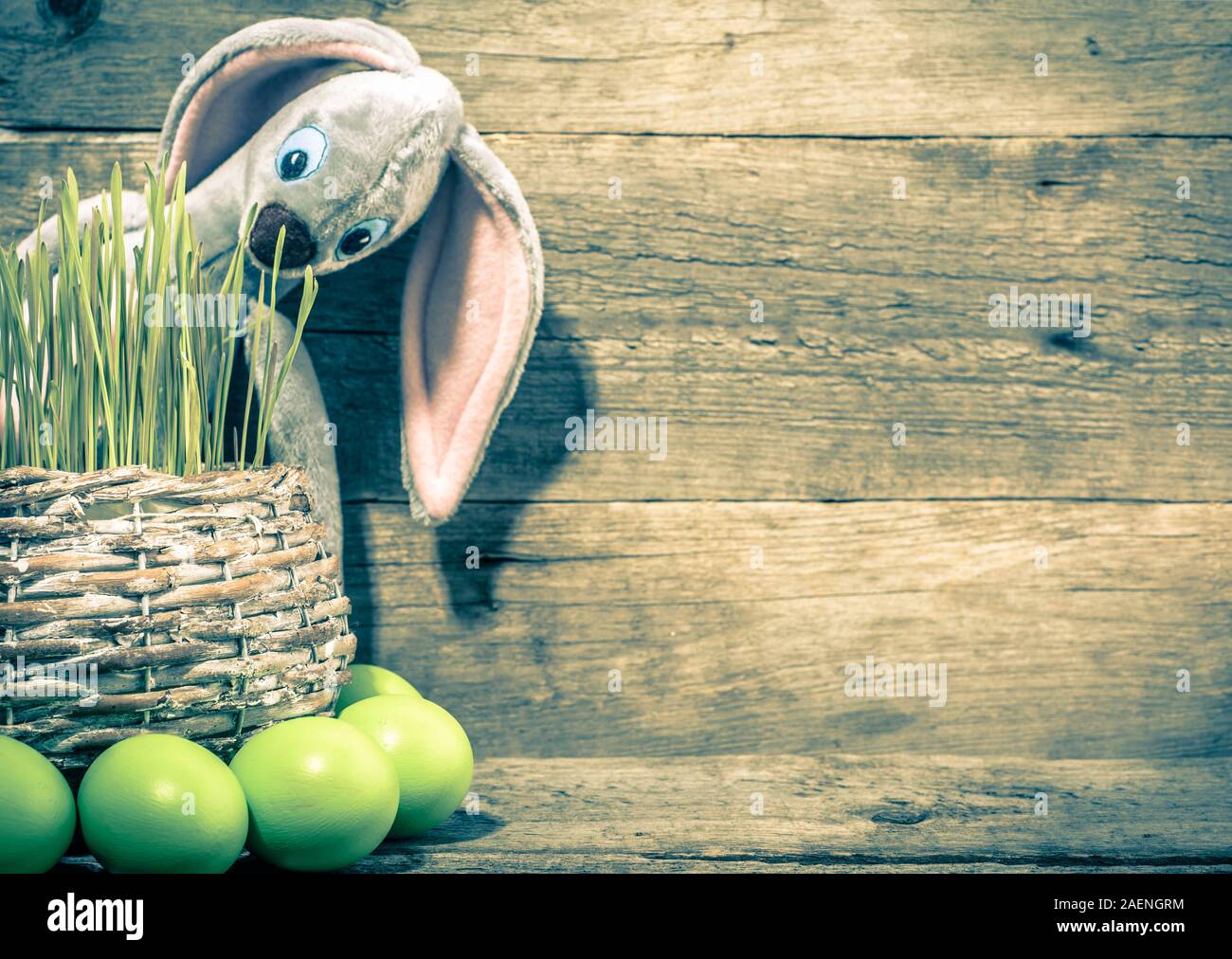 Œufs de Pâques et le lapin dans l'herbe, le blé vert frais dans le panier, symboles traditionnel de Pâques en Pologne Banque D'Images