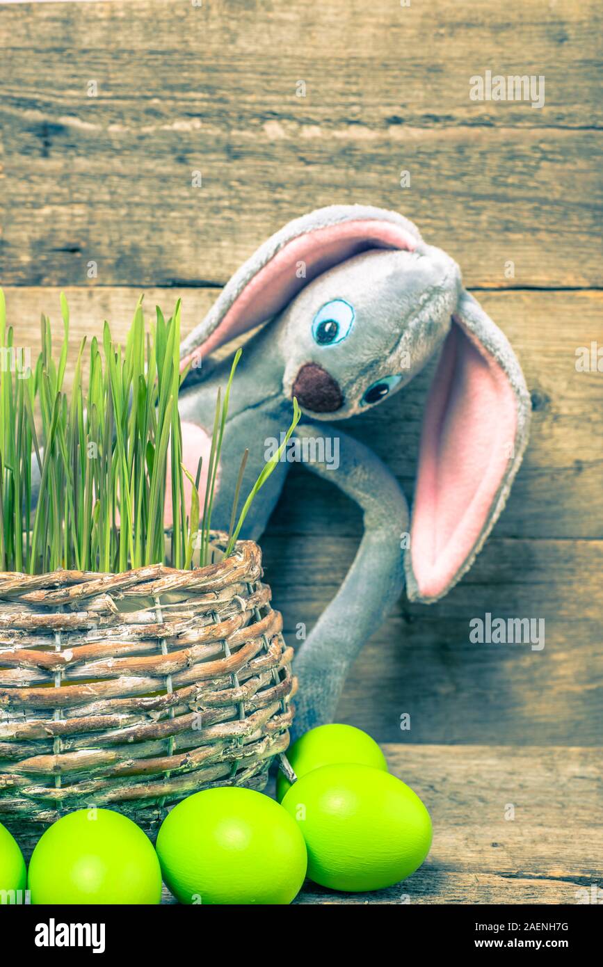 Les oeufs de Pâques, de l'herbe et derrière le lapin de Pâques de paniers traditionnels des tiges vert frais Banque D'Images