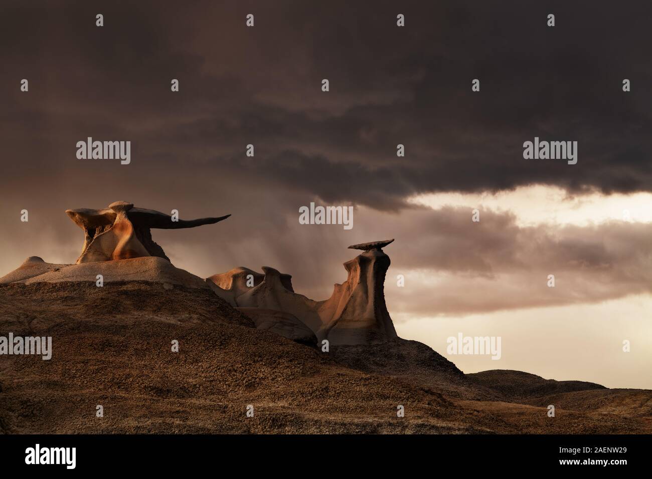 Ailes de pierre, étranges formations rocheuses de Bisti Badlands, New Mexico, USA Banque D'Images