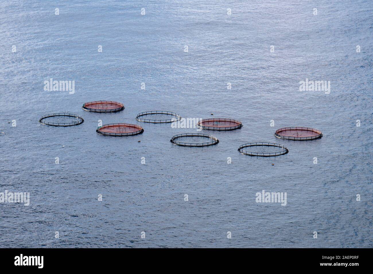 Le Portugal, l'île de Madère : fish farm, Ponta de Sao Lourenço, Pointe de St Lawrence, à la le point le plus à l'Est de l'île. Banque D'Images