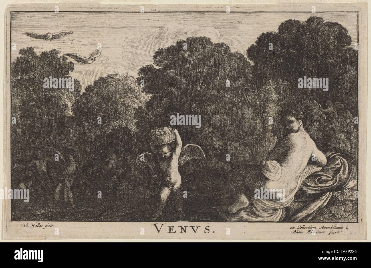 Une gravure de Venceslas Hollar d'après Adam Elsheimer représentant Vénus, montrant figure féminine, pose, draperie, paysage, et 17ème siècle style européen de gravure. Banque D'Images