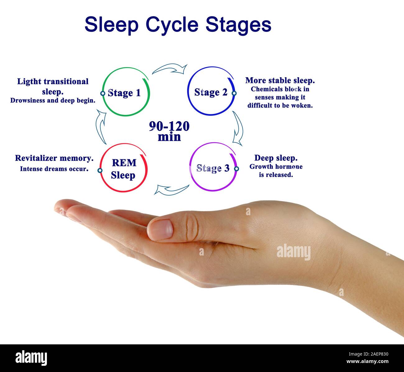 Femme présentant les étapes du cycle de sommeil Banque D'Images